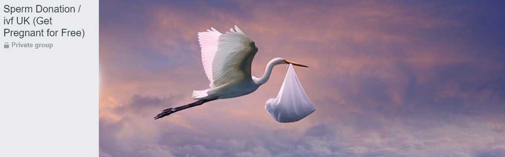 Sperm Donation IVF (Get Pregnant for Free)